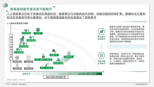 人工智能基礎數(shù)據(jù)服務白皮書 數(shù)據(jù)驅(qū)動，軟件賦能
